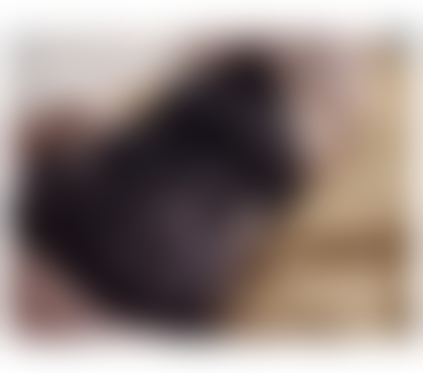 Escorts West Yorkshire Leeds -